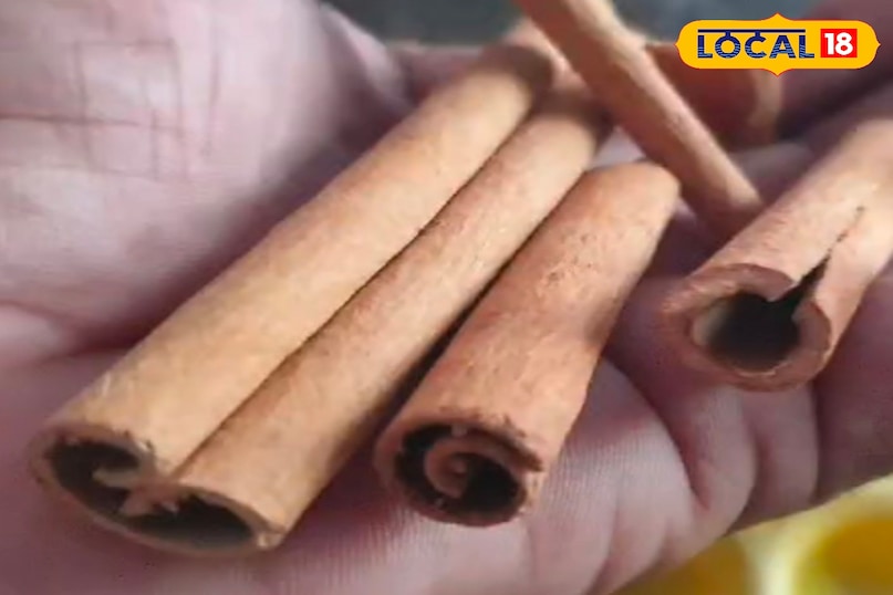 दालचीनी मसाला 