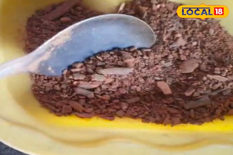 दालचीनी मसाला 