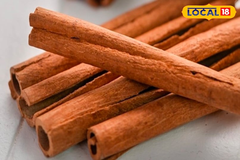 दालचीनी मसाला 