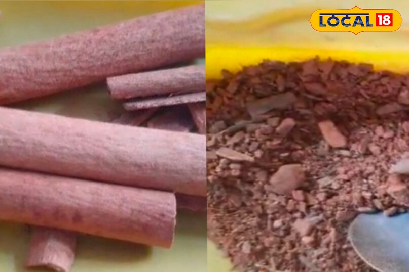 दालचीनी मसाला 