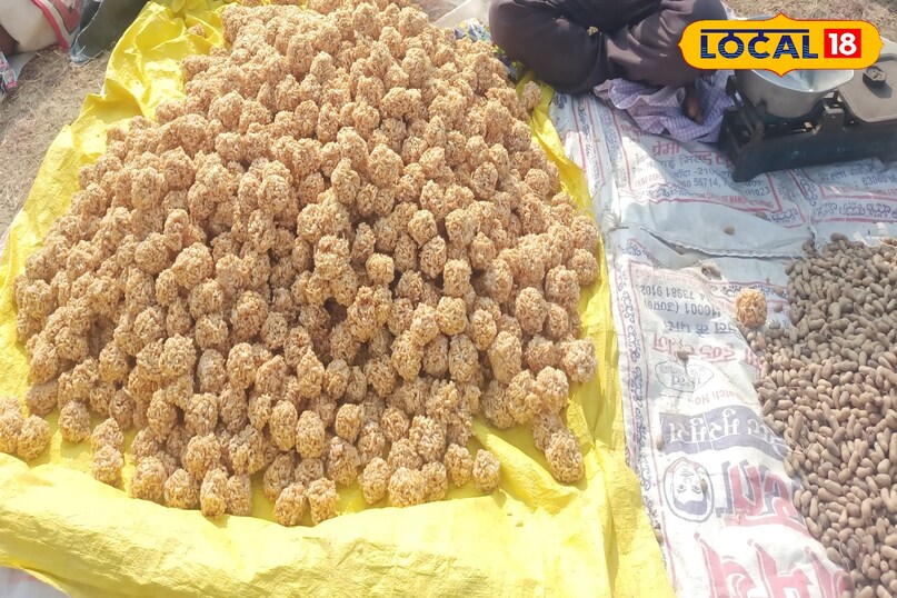 Chhatarpur News Chhatarpur News