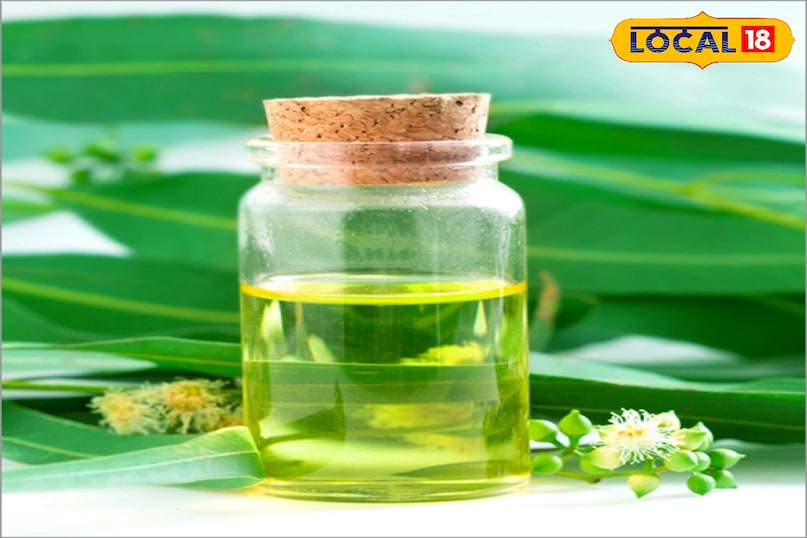 हेल्थ टिप्स 