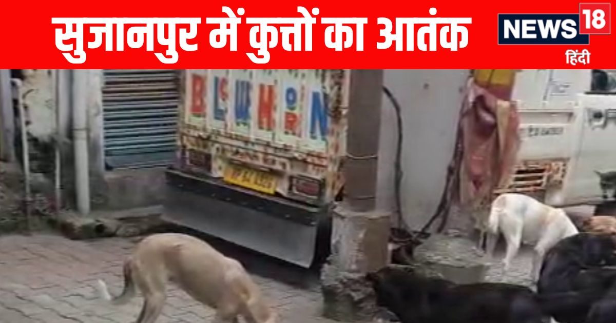 आवारा कुत्ते का आंतक, जो रास्ते में मिला...उसे ही काटा, 24 लोग पहुंचे अस्पताल