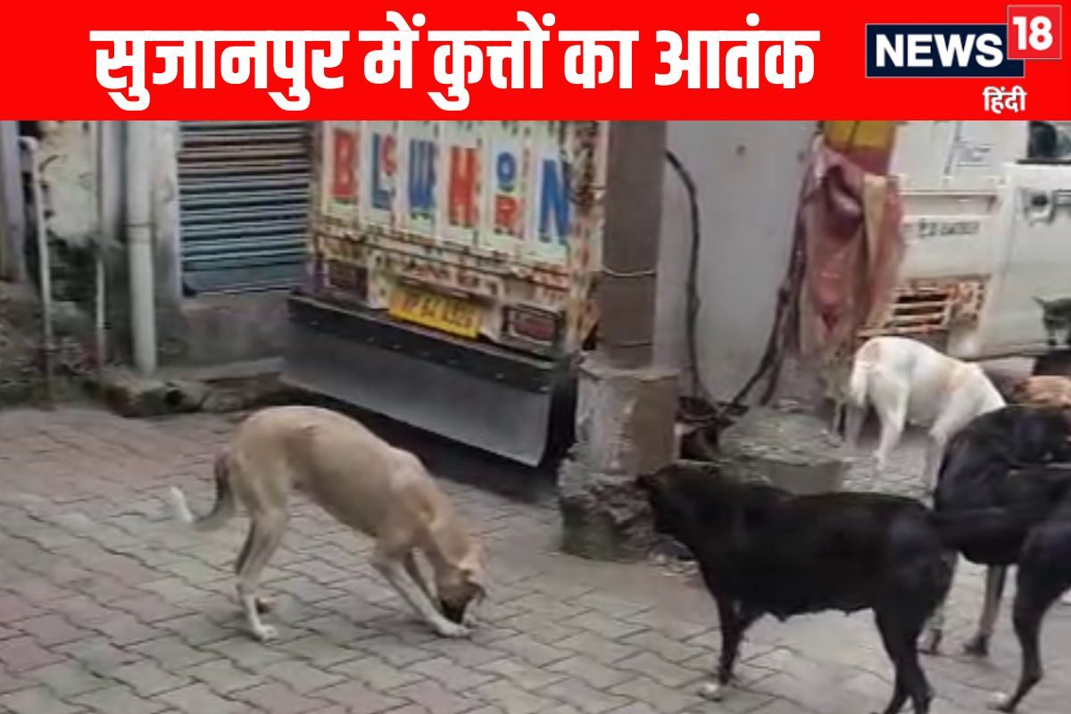 आवारा कुत्ते का आंतक जो रास्ते में मिलाउसे ही काटा 24 लोग पहुंचे अस्पताल