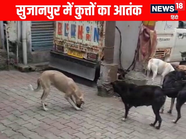 आवारा कुत्ते का आंतक, जो रास्ते में मिला...उसे ही काटा, 24 लोग पहुंचे अस्पताल