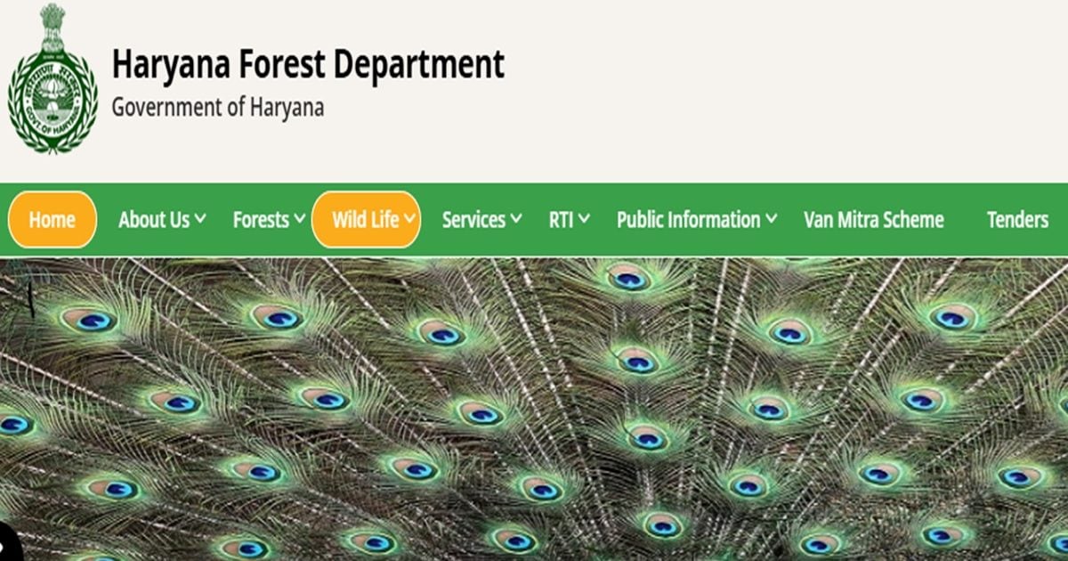 मीटिंग में हाई वोल्टेज ड्रामा, गार्ड-महिला दरोगा ने रैंजर को जड़े थप्पड़, FIR