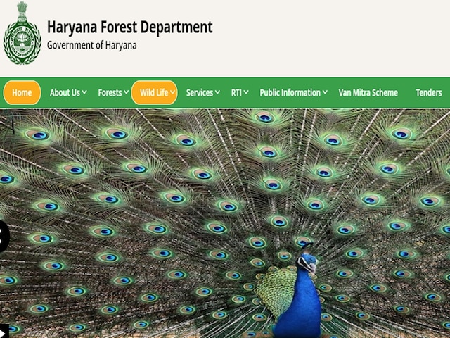 मीटिंग में हाई वोल्टेज ड्रामा, गार्ड-महिला दरोगा ने रैंजर को जड़े थप्पड़, FIR