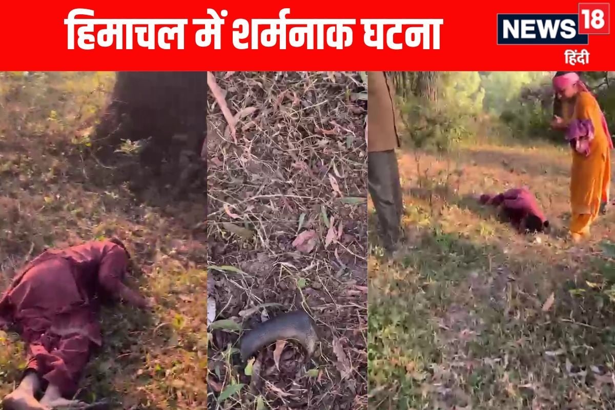 देवभूमि शर्मसार! महिला ने संबंध बनाने से इंकार किया तो काटा डाला