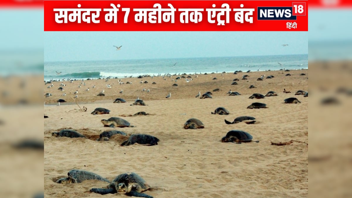 समंदर लॉकडाउन: ओडिशा में मछली पकड़ने पर बैन, 11 हजार परिवार ₹15000 की राहत