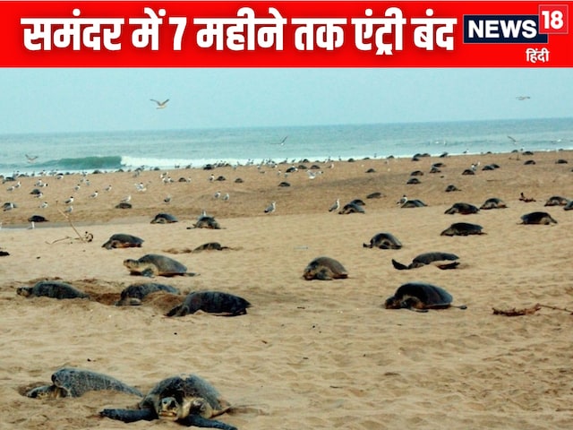 ओडिशा में मछली पकड़ने पर बैन, 11 हजार परिवार ₹15000 की राहत ओडिशा में मछली पकड़ने पर बैन, 11 हजार परिवार ₹15000 की राहत