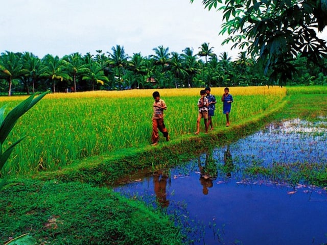 दक्षिणी राज्य में करोड़ों लोगों का सपना हुआ पूरा, 78 साल से चल रही थी कोशिश दक्षिणी राज्य में करोड़ों लोगों का सपना हुआ पूरा, 78 साल से चल रही थी कोशिश