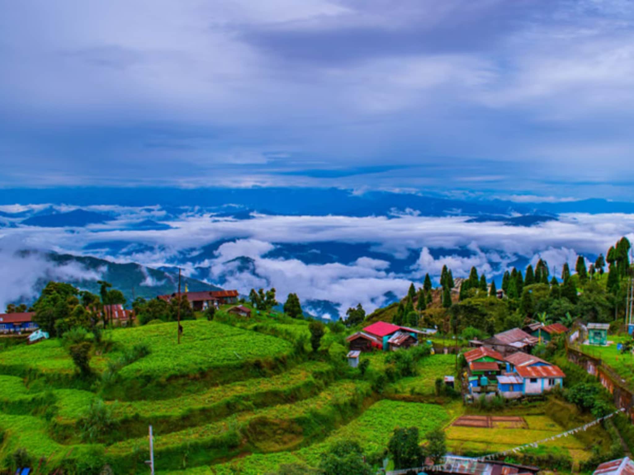 SIR विवाद के बीच ममता दीदी के राज्य का कमाल एक को छोड़ पूरे देश है पीछे