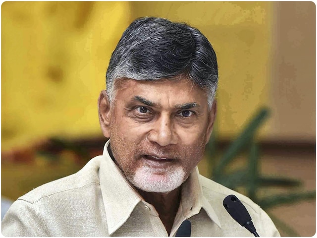 BJP की बढ़ती ताकत NDA में अन्य दलों की भूमिका को कम कर देगी? CM नायडू ने बताया