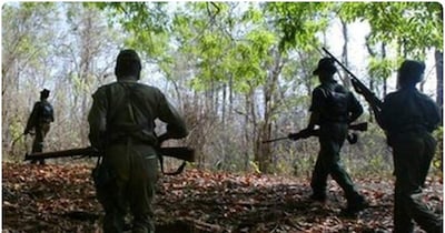 जंगल में सर्च ऑपरेशन जारी है. (फाइल फोटो)