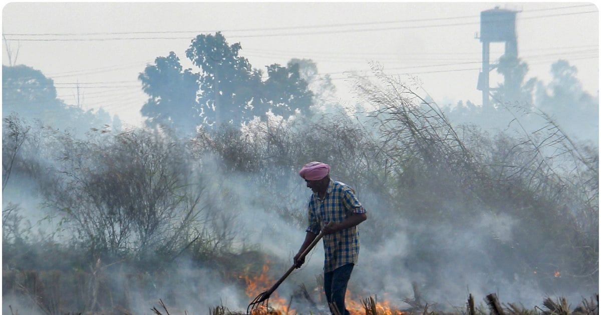 पराली जलाने की घटनाओं पर तुरंत रोक लगाए पंजाब, CAQM ने दी चेतावनी