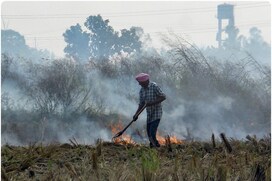 पराली जलाने की घटनाओं पर तुरंत रोक लगाए पंजाब, CAQM ने दी चेतावनी