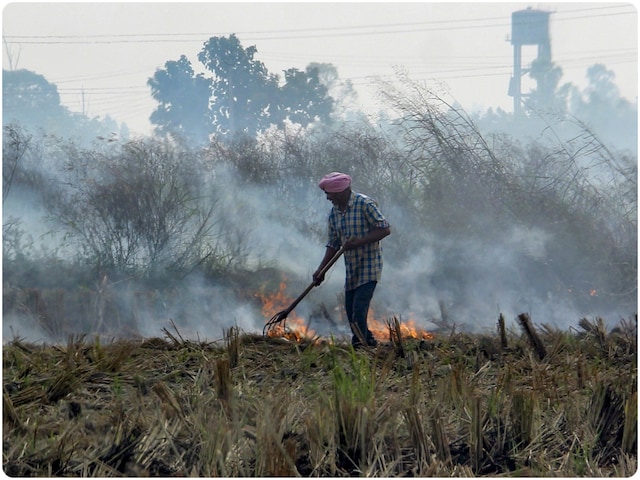 पराली जलाने की घटनाओं पर तुरंत रोक लगाए पंजाब, CAQM ने दी चेतावनी