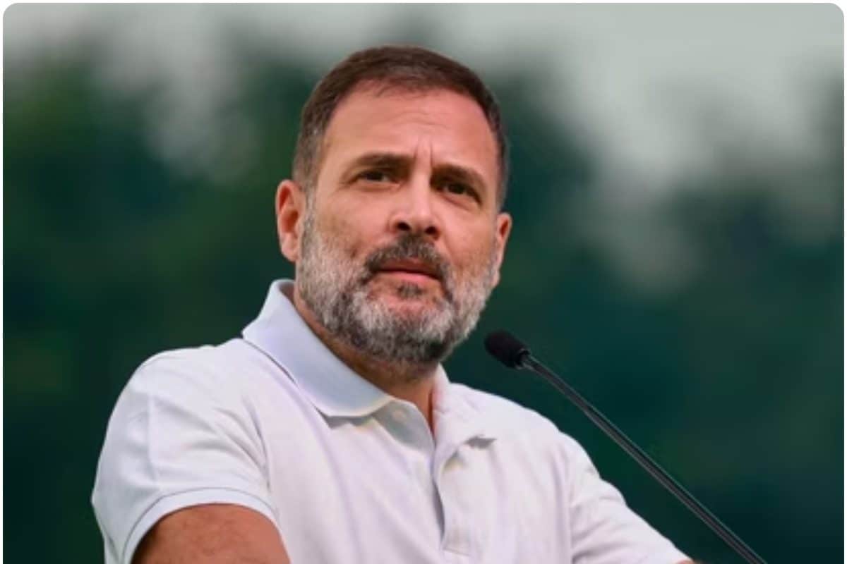 राहुल गांधी किसी विदेश यात्रा या जंगल सफारी पर होंगे BJP ने क्यों बोला हमला