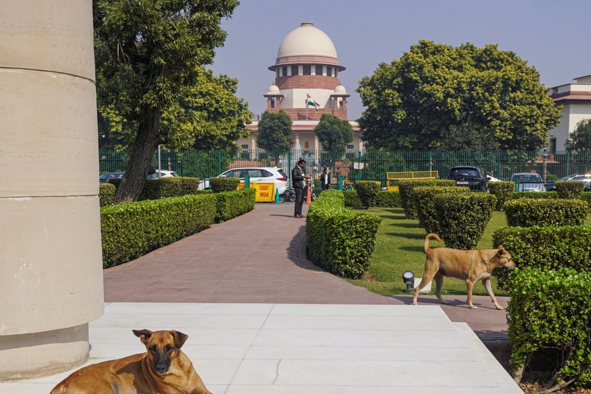 भारत में जमीन खरीदना मतलब ट्रॉमा से गुजरना SC को क्यों करनी पड़ी ऐसी टिप्पणी