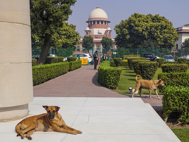 'भारत में जमीन खरीदना मतलब ट्रॉमा से गुजरना' SC को क्यों करनी पड़ी ऐसी टिप्पणी