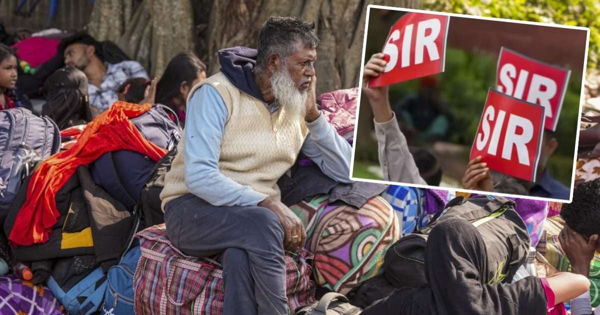 SIR शुरू होते ही बंगाल भगदड़, बॉर्डर की 10 तस्वीरें दिखा रही अवैध घुसपैठ का सच