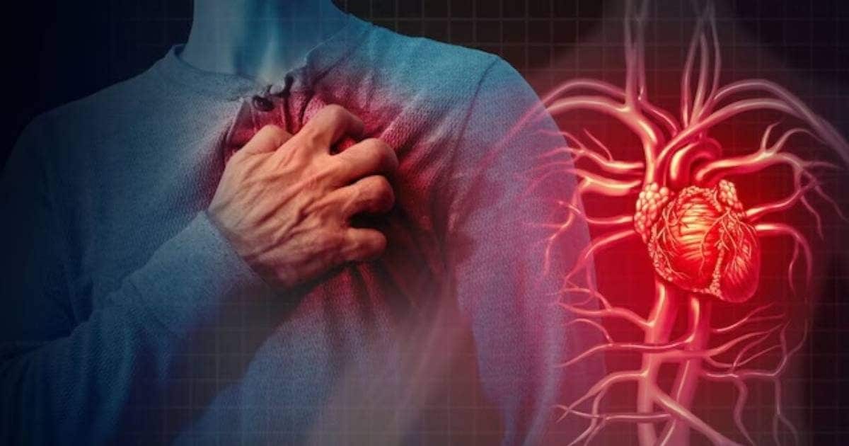 एसआईआर का तनाव या फिर और कुछ! तहसीलदार का फोन आते ही बीएलओ को आया हार्ट अटैक