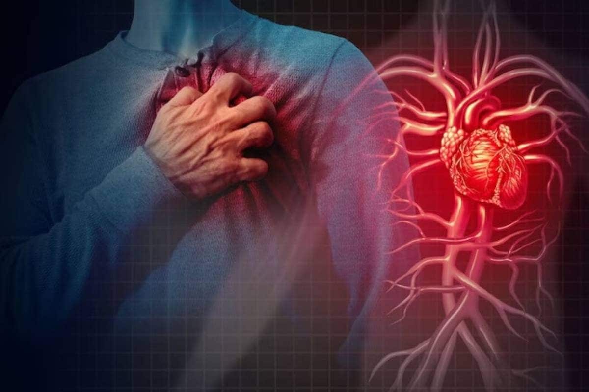 एसआईआर का तनाव या फिर और कुछ! तहसीलदार का फोन आते ही बीएलओ को आया हार्ट अटैक