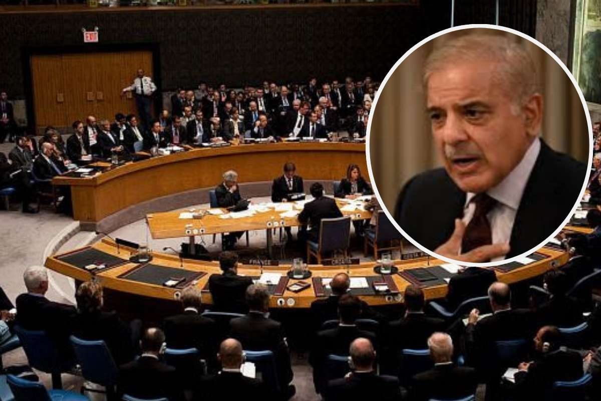 भारत ने UN में खोली पाकिस्तान की पोल ऑपरेशन सिंदूर पर झूठ का पर्दाफाश