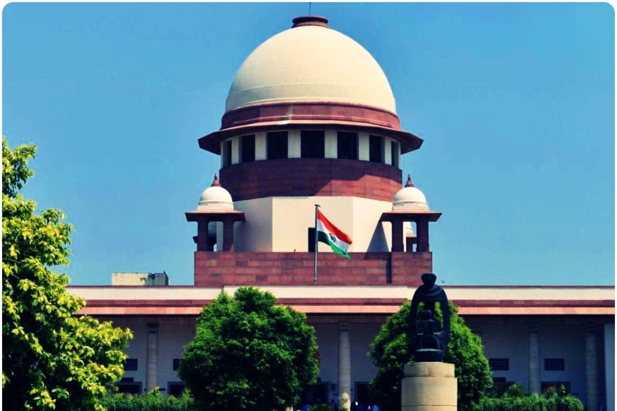 देखने में बिल्कुल जूस जैसे लगते हैं शराब के टेट्रा पैक सामने आते ही चौंके जज