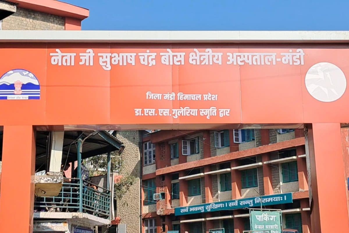 मंडी जिले को कितने नए डॉक्टर मिले और कितनी पोस्ट हैं खालीपूरी डिटेल जानिये