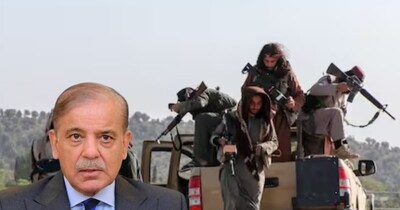 Taliban Readies Dossier to Expose Pakistan on Terror, Human Rights Abuses