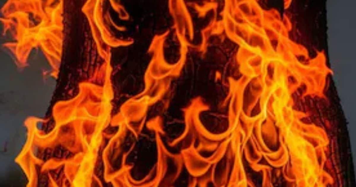 अधिकारी से मिलने पहुंचा किसान, उठाया पेट्रोल का डिब्बा और जला दिया...