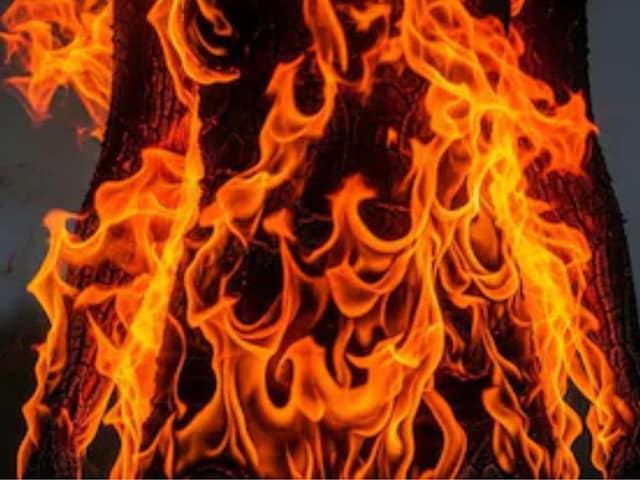 अधिकारी से मिलने पहुंचा किसान, उठाया पेट्रोल का डिब्बा और जला दिया...