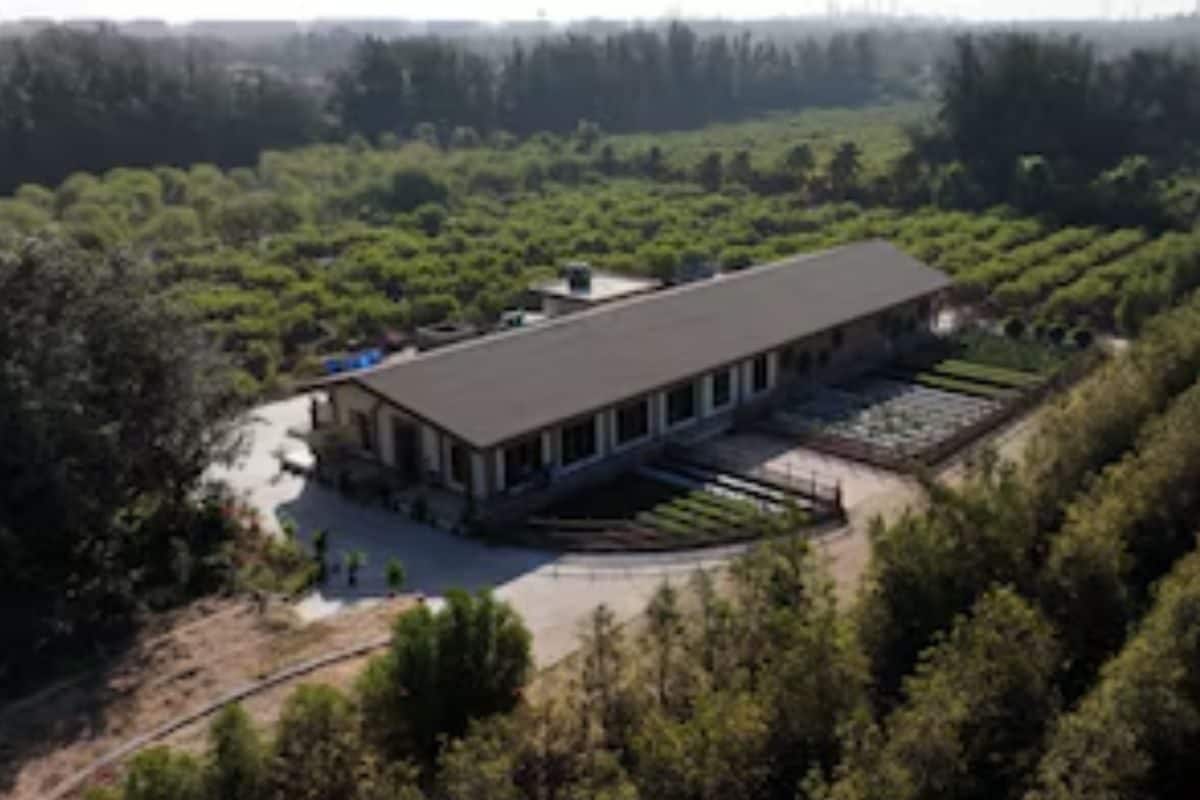 वनतारा को मिली प्रशंसा: CITES ने विश्व-स्तरीय पशु-देखभाल सुविधाओं की सराहना की