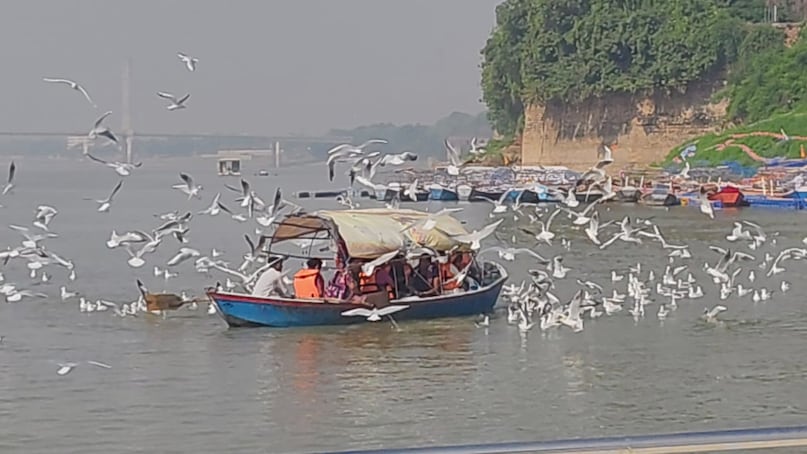 Siberian birds , साइबेरियन पक्षी , up tourism , triveni sangham , migratory birds , bird watching , Siberian birds in mahakumbha, mahakumbha, mahakumbha news, मौनी अमावस्या, kashi, Varanasi news, when Siberian birds reach india, how long Siberian birds stay in india, interesting facts about Siberian birds, types of Siberian birds, when Siberian birds leave nests, Siberian birds qualities, Siberian birds picture, साइबेरियाई पक्षी कैसे दिखते हैं Siberian birds , साइबेरियन पक्षी , up tourism , triveni sangham , migratory birds , bird watching , Siberian birds in mahakumbha, mahakumbha, mahakumbha news, मौनी अमावस्या, kashi, Varanasi news, when Siberian birds reach india, how long Siberian birds stay in india, interesting facts about Siberian birds, types of Siberian birds, when Siberian birds leave nests, Siberian birds qualities, Siberian birds picture, साइबेरियाई पक्षी कैसे दिखते हैं