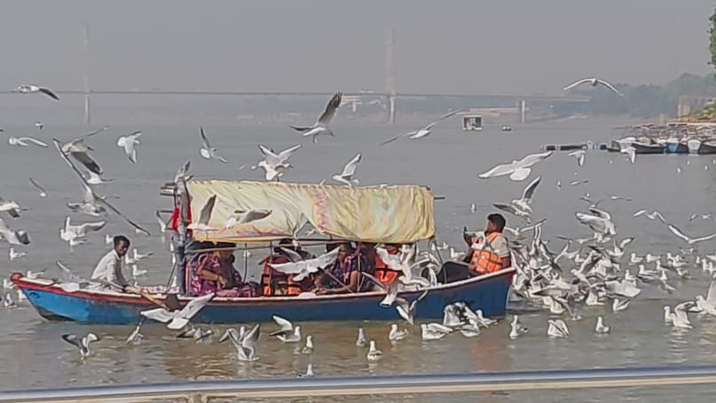 Siberian birds , साइबेरियन पक्षी , up tourism , triveni sangham , migratory birds , bird watching , Siberian birds in mahakumbha, mahakumbha, mahakumbha news, मौनी अमावस्या, kashi, Varanasi news, when Siberian birds reach india, how long Siberian birds stay in india, interesting facts about Siberian birds, types of Siberian birds, when Siberian birds leave nests, Siberian birds qualities, Siberian birds picture, साइबेरियाई पक्षी कैसे दिखते हैं Siberian birds , साइबेरियन पक्षी , up tourism , triveni sangham , migratory birds , bird watching , Siberian birds in mahakumbha, mahakumbha, mahakumbha news, मौनी अमावस्या, kashi, Varanasi news, when Siberian birds reach india, how long Siberian birds stay in india, interesting facts about Siberian birds, types of Siberian birds, when Siberian birds leave nests, Siberian birds qualities, Siberian birds picture, साइबेरियाई पक्षी कैसे दिखते हैं