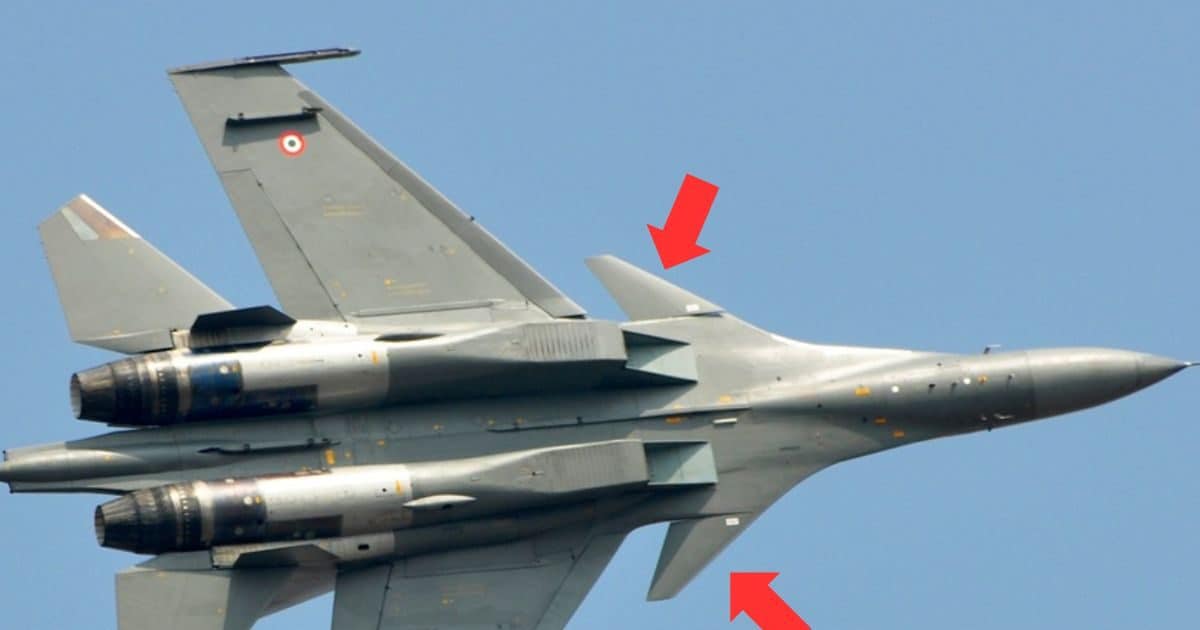 बड़े ही काम के हैं ये छोटे पंख, आसमान में सुखोई को बना देते हैं तेज़-तर्रार