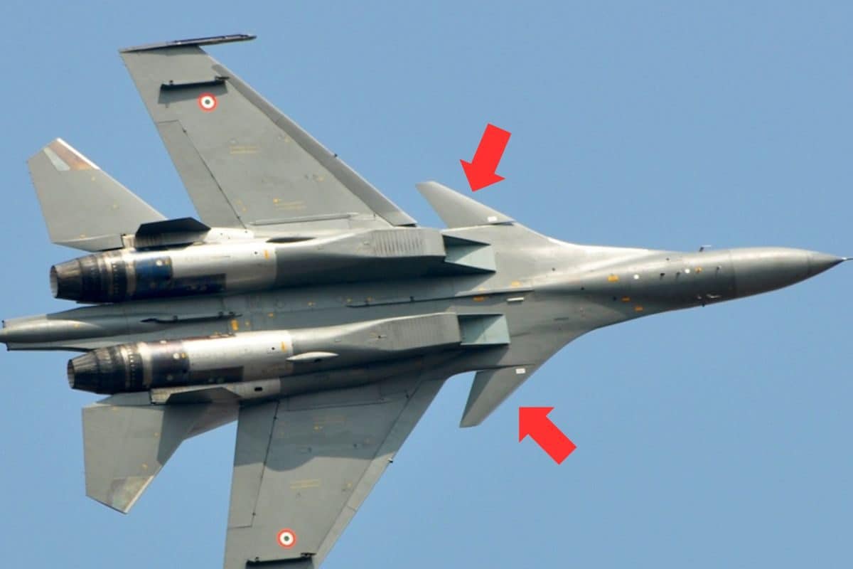 बड़े ही काम के हैं ये छोटे पंख आसमान में सुखोई को बना देते हैं तेज़-तर्रार