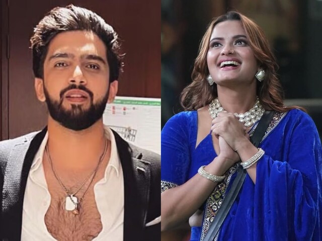 'I want a husband who has money', Neelam Giri expressed her desire to marry Amaal Malik