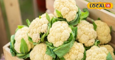 सब्जी की खेती