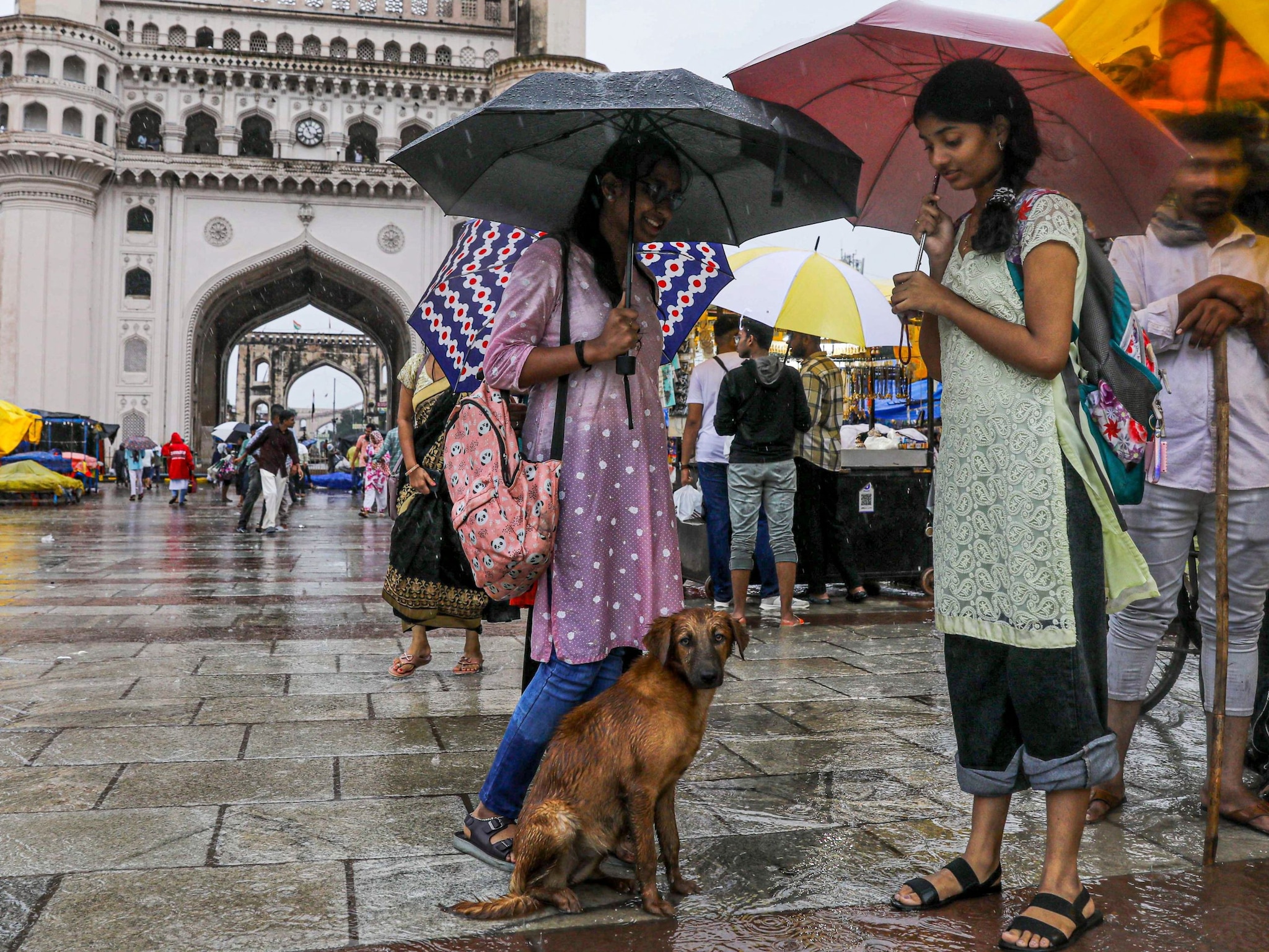 55-70 Kmph रफ्तार की हवाएं तूफान सनयार का कहर पंजाब से दिल्ली तक ठंड का कहर