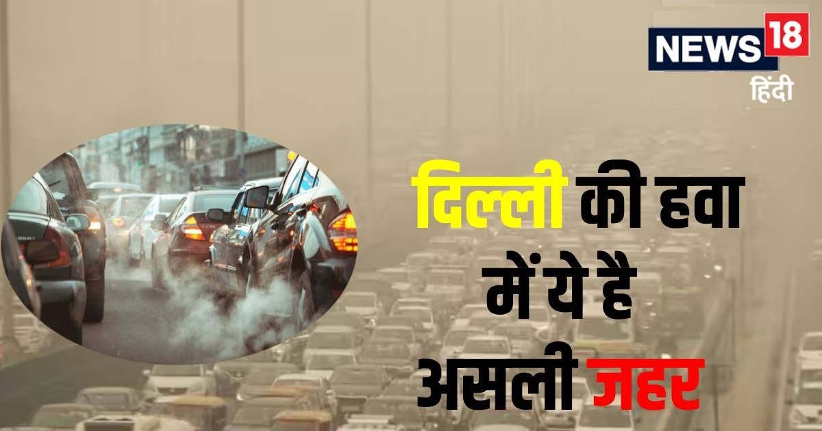 पीएम 10-PM 2.5 नहीं, दिल्ली की हवा में ये है असली जहर! विदेशी रिसर्चर का दावा