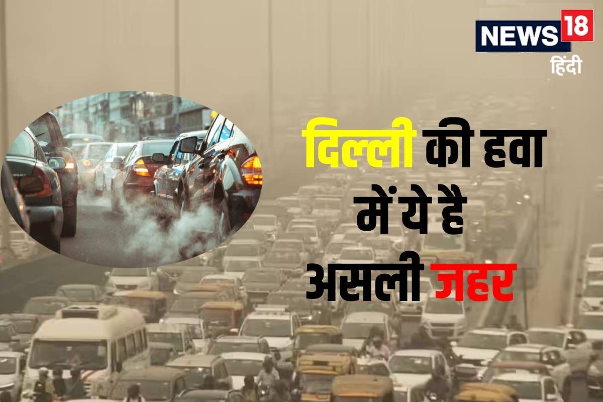 पीएम 10-PM 25 नहीं दिल्ली की हवा में ये है असली जहर! विदेशी रिसर्चर का दावा