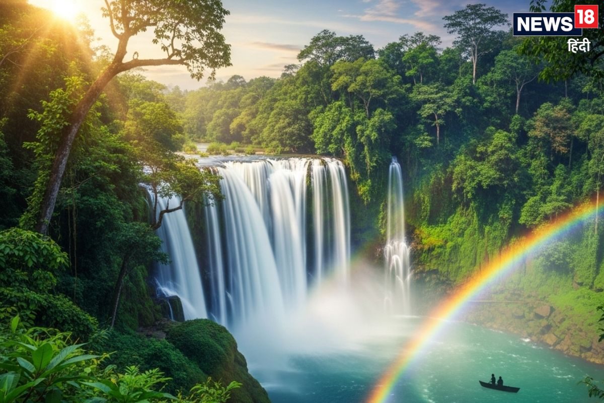 रहस्य रोमांच और घने जंगलों का लेना है मजा तो गोवा के इस ट्रैकिंग रूट पहुंचें