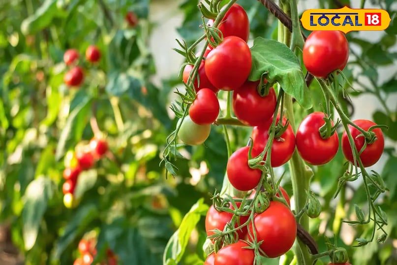 कमजोरी और खून की कमी से परेशान? अपनाएं ये 4 प्राकृतिक उपाय