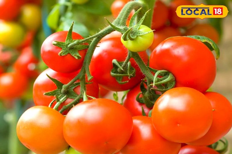 कमजोरी और खून की कमी से परेशान? अपनाएं ये 4 प्राकृतिक उपाय