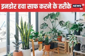घर में एयर प्यूरिफायर नहीं, तो इन 5 आसान तरीकों से इनडोर हवा को रखें साफ !