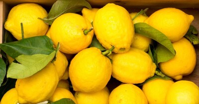 बुरहानपुर की एक्सपर्ट फुलाबाई ने बताया 3 आसान तरीके जिनसे रस 3 से 4 महीने तक खराब नहीं होगा. सही तरीके से छानकर, कांच की बरनी में रखकर और धूप दिखाकर रस को सुरक्षित रखा जा सकता है. स्टोर करते समय पानी और गीले हाथों से बचना बेहद जरूरी है, वरना रस खराब हो सकता है. जानिए पूरी विधि और गर्मियों में रोज ताजा नींबू पानी का मजा कैसे लें.