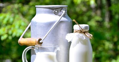 दूध में मिलावट की पहचान: घर बैठे मिनटों में ऐसे करें जांच.