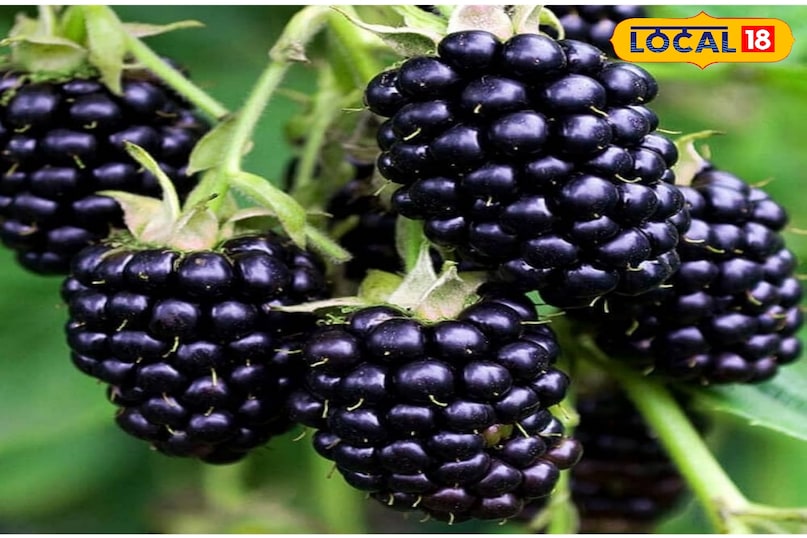 अनार से ज्यादा पावरफुल ये 6 सुपरफूड्स. सेहत के लिए बेहद फायदेमंद